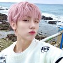 내가 만든 쿠키 이미지