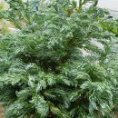 영명농장 이미지