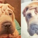 신성동물병원 이미지