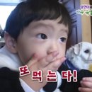 성진삼계탕 | 그래도 해야지 어떡해