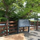 느티나무어린이공원 이미지