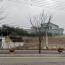 마로니 모텔 이미지