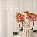 행운꽃집 - 중구 보문산로177번안길 40 | 행운꽃집