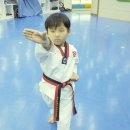 경희대박사태권아카데미 이미지