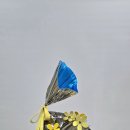 네오아트 이미지