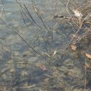 진주산소 이미지