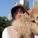 사월 : sawol