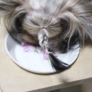 보람메딕스 네이버블로그