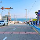 고운청사포 | 부산 해운대 여행 해변열차 송정역 정거장 청사포