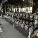 팔로우짐 이미지