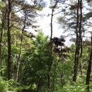 검바위약수터 이미지