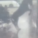 현지세차장 이미지