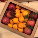 달푸르츠 이미지