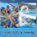 찬스아이 수영장 이미지