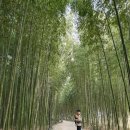 섬진강호텔 이미지