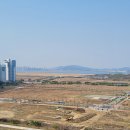 서인천세무서 이미지