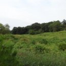 전대1리마을회관 이미지