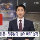 폭설인줄 알았더니..'하루살이 10억마리' 경악 이미지