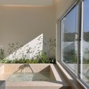 스테이수채화 이미지