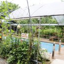 청학하늘정원 이미지