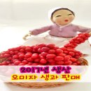 해솔농장 이미지