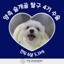 언제나동물병원 이미지