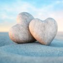 제 51차 정기산행 9월 14일 광주 무등산 이미지