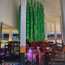 캣츠게임랜드 이미지