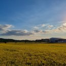 진례농협하나로마트 이미지