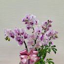 복천로5번길 이미지