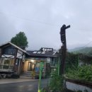 솔토장어 이미지