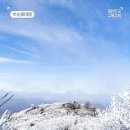 꽃보다 더 아름다운 눈꽃 전국 설산 명소 TOP4 이미지