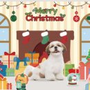 아토 강아지 미용실 이미지