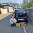 금빛세탁 이미지