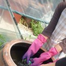 춘천반석지역아동센터 이미지