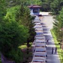 소떼농장 이미지