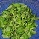 신장농장 이미지