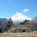 Mountain World | [일본] Day2-1. 도쿄 후지산 일일투어 (+마이리얼트립 예약 내돈내산 솔직후기)