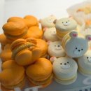 퇴계초중학교 | 퇴계동맛집 남춘천역카페, 멜로우바이트에서 마카롱으로 당충전