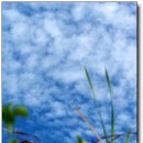 누리농장 이미지