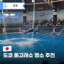도쿄 아쿠아리움 추천｜멕셀 아쿠아파크 시나가와 돌고래쇼 후기