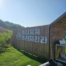 스낵영종 | [나들이] 어메이징캠프 영종점 내돈내산 후기