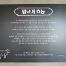 램스진 (LAMB'S JIN) 이미지