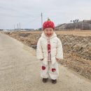 진미농장3 | 양양 아이와 체험 - 피지컬베리 킹스베리 딸기 체험