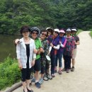 은숙농장 Daum카페
