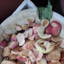 동석상회 이미지