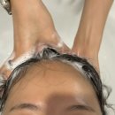 르마오 이미지