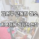 월정로9길 | [강서구 고독사 청소] 고인의 마지막 흔적을 정리하며, 유품정리 및 방역 후기