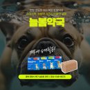 늘봄약국 이미지