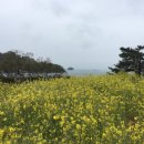 초양선착장 네이버블로그